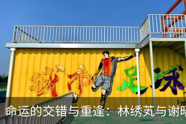 命运的交错与重逢：林绣芄与谢昭的心路历程